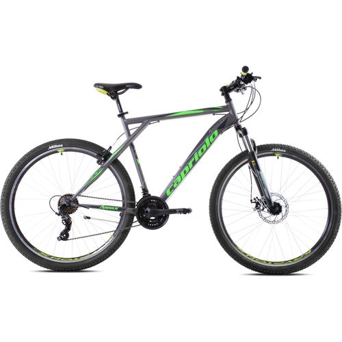 CAPRIOLO bicikl MTB ADRENALIN 29 silver green slika 2