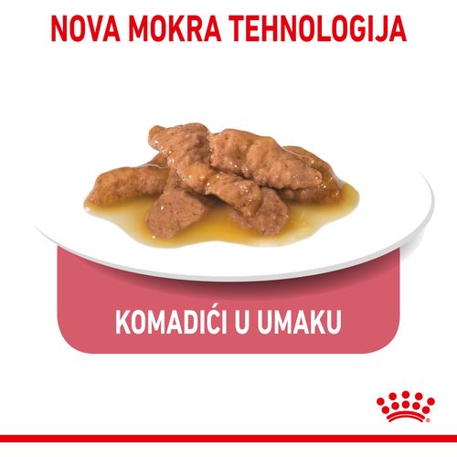 ROYAL CANIN FHN Indoor Gravy, potpuna hrana u vrećici za  odrasle mačke, za mačke koje žive u kući, komadići u umaku, 12x85 g slika 8