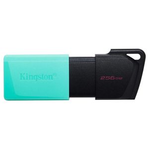 Kingston DTXM/256GB 256GB USB Flash Drive, USB 3.2 Gen.1, DataTraveler Exodia M