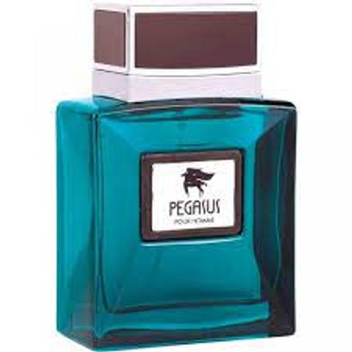 Flavia PEGASUS POUR HOMME edp 100ml slika 1