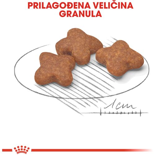 ROYAL CANIN SHN Mini Adult 8+, potpuna hrana za starije pse malih pasmina (do 10 kg) starijie od 8 godina, 2 kg slika 7