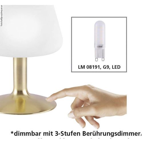 Paul Neuhaus TILL 4078-60 noćna svjetiljka LED G9 3 W toplo bijela  mjedena (mat) slika 2