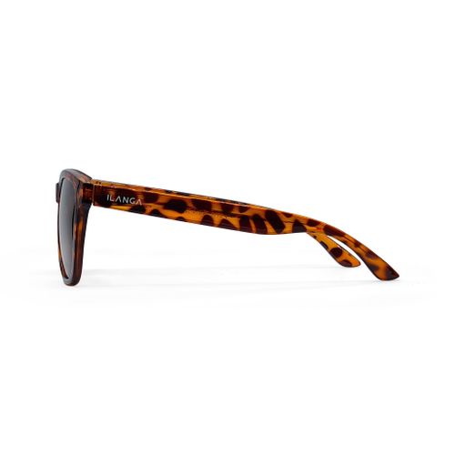 Ilanga Eyewear sunčane naočale Spicy Classic brown, yellow tortoise slika 3