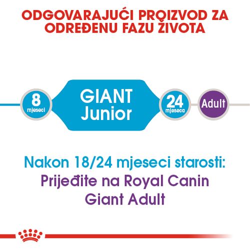 ROYAL CANIN SHN Giant JUNIOR, Potpuna hrana za pse specijalno za štence divovskih pasmina (konačne težine > 45 kg)  od 8 do 18/24 mjeseci starosti, 15 kg slika 6