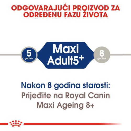 ROYAL CANIN SHN Maxi Adult 5+, Potpuna hrana za pse starije od 5 godina velikih pasmina (od 26 do 44 kg), 4 kg slika 7