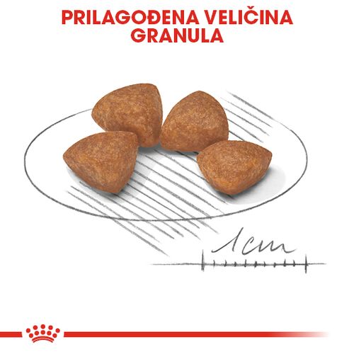 ROYAL CANIN SHN Extra Small Puppy, potpuna hrana za pse, specijalno za štence jako malih pasmina (konačne težine do 4 kg) do 10 mjeseci starosti, 1,5 kg slika 6