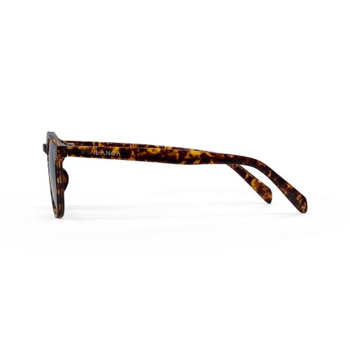 Ilanga Eyewear sunčane naočale Cuba Libre smoke yellow tortoise slika 3