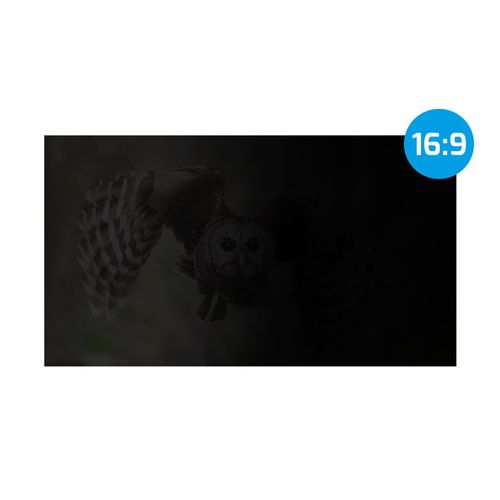 Natec NFP-1478 OWL, Privacy Filter for 24" Screen, 16:9, 531 x 298 mm slika 2