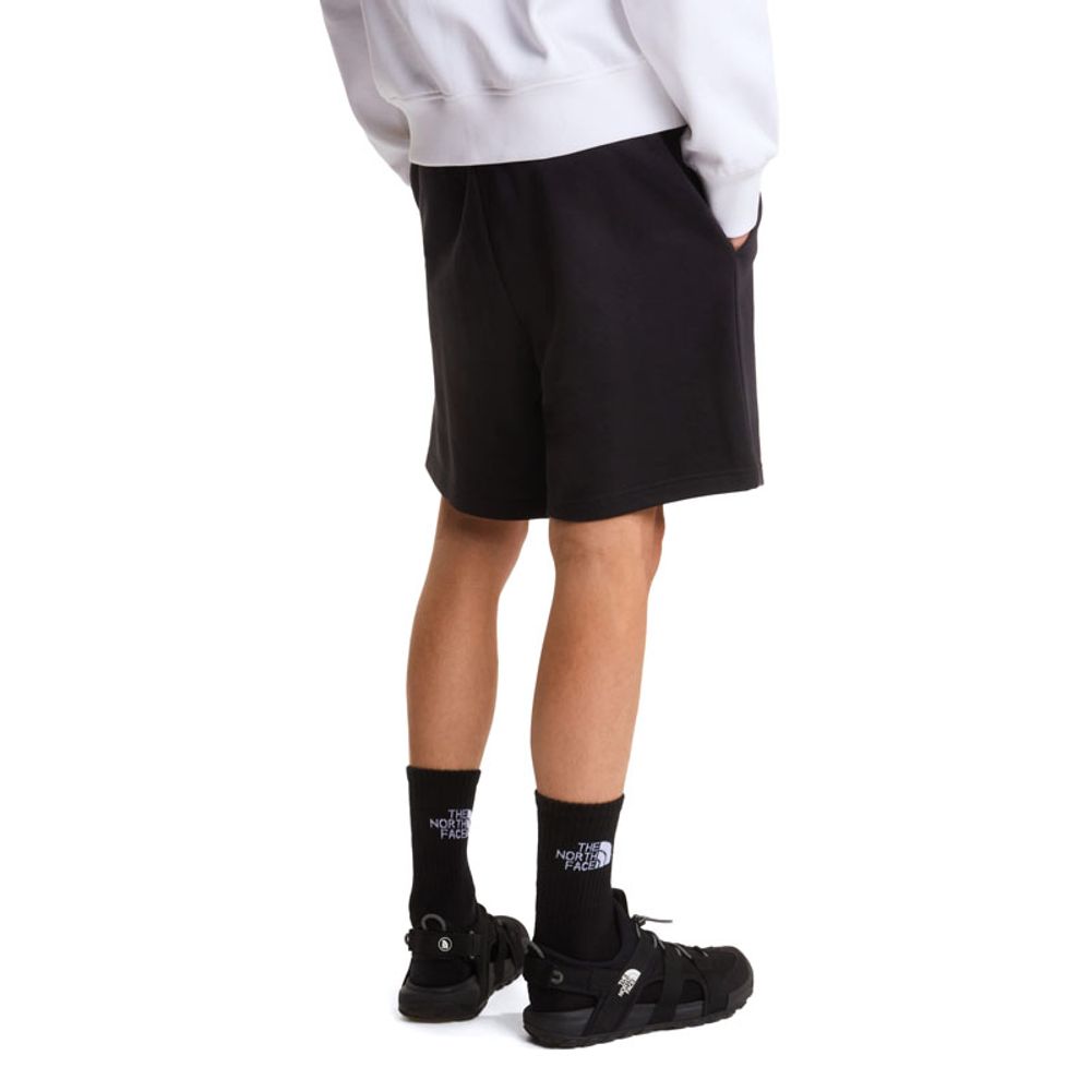 The North Face Muški šorc M BOX NSE Light Regular Shorts slika 3