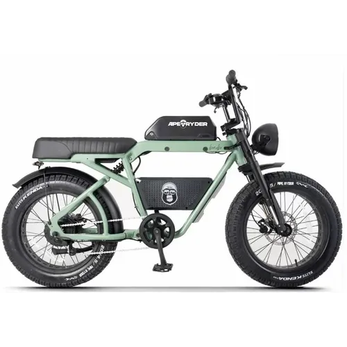 Ape Ryder BONOBO (green) električni bicikl slika 1