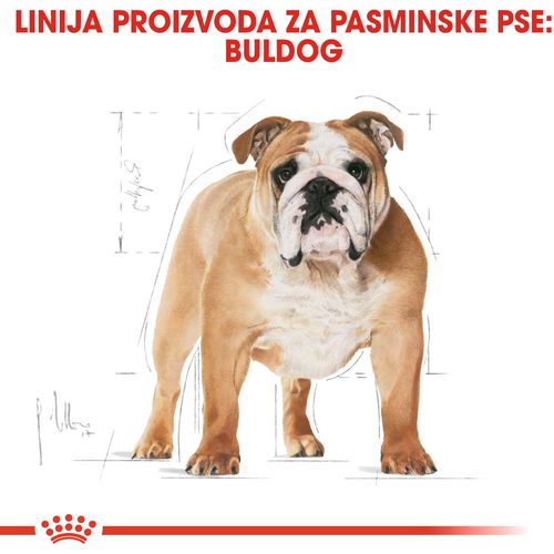 ROYAL CANIN BHN Bulldog Adult, potpuna hrana posebno namijenjena buldozima starijim od 12 mjeseci, 12 kg slika 4