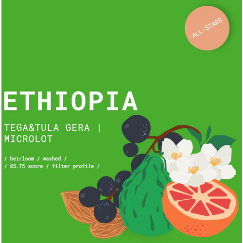 GOAT Story, Ethiopia Tega&Tula Gera Washed kava, Turkish (Ibrik), 500g slika 1