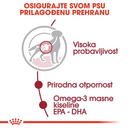 ROYAL CANIN SHN Medium adult vrećice za pse, potpuna hrana za odrasle pse srednje velikih pasmina (od 11 do 25 kg), od 12 mjeseci do 10 godina starosti, 10x140 g slika 7