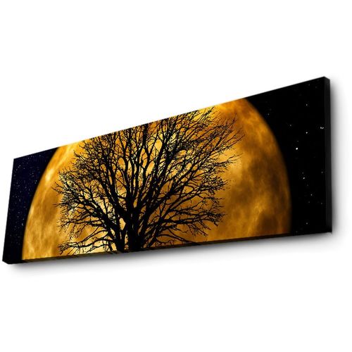 3090DACT-71 Multicolor Decorative Led Lighted Canvas Painting slika 5