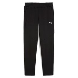 Puma Donji dio trenerke za muškarce Evostripe Pants DK