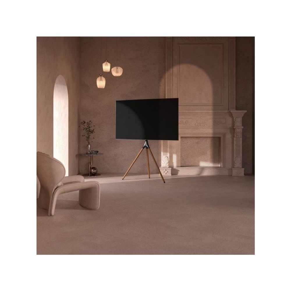 SBOX Podni stalak FS-1246F (45-65"/32kg/600x400) slika 4