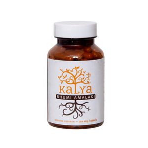 Kalya Ayurveda