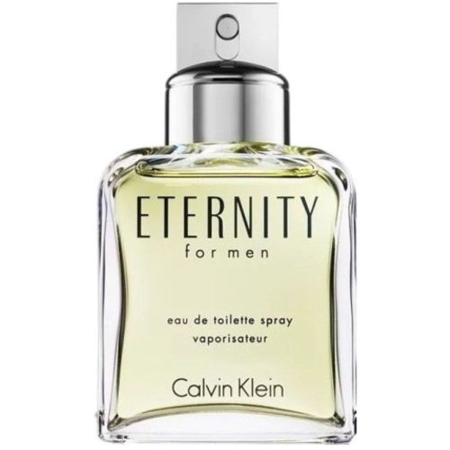 Calvin Klein Eternity Muški EDT  100ML slika 1