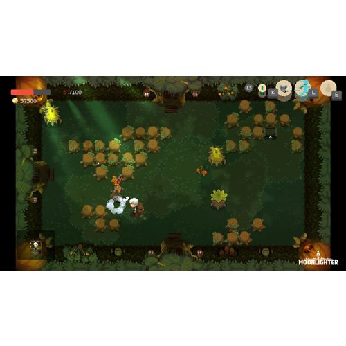 Moonlighter (PS4) slika 7