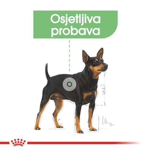 ROYAL CANIN CCN Mini Digestive Care, potpuna hrana za pse - Za odrasle i starije pse malih pasmina (od 1 do 10 kg) - Stariji od 10 mjeseci - Psi skloni osjetljivoj probavi, 3 kg slika 5