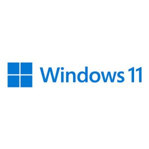 MS 1x Win 11 Pro 64Bit DVD OEM (EN) FQC-10528