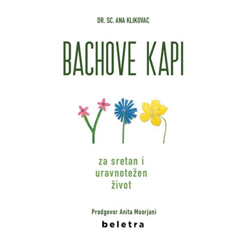 Bachove kapi , Ana Klikovac slika 1