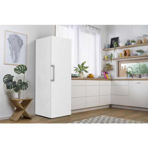 Gorenje zamrzivač FN619EEW5 slika 4