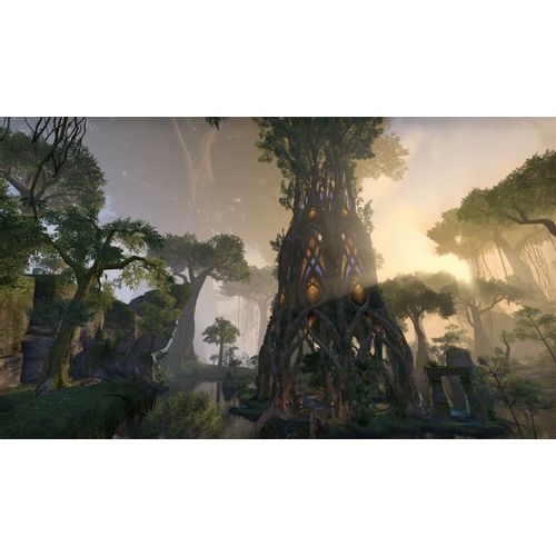 The Elder Scrolls Online: Tamriel Unlimited (Playstation 4) slika 4