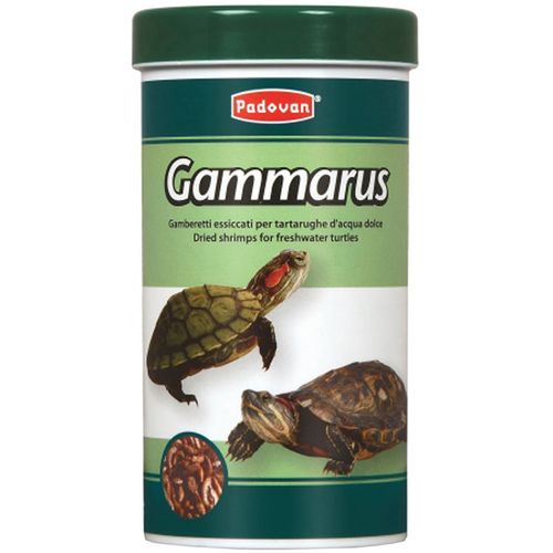 Padovan Gammarus za kornjače, 250 ml/30 g slika 1