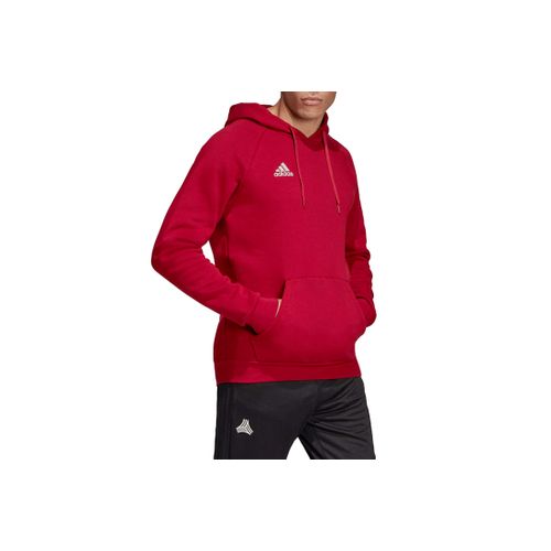 Muški Hoodie Adidas Tan Hooded Sweatshirt DZ9613 slika 6