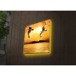 Dekorativna LED Slikarska Platna 4040DACT-34 u Više Boja