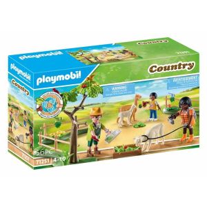 Figure djelovanja Playmobil 71251