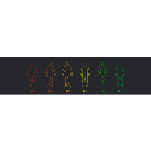 Xiaomi Mi Body Composition scale 2 slika 12