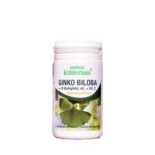 Ginkgo biloba slika 1