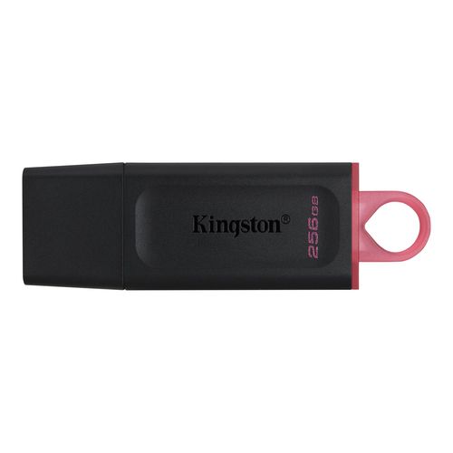 Kingston usb flash DTX/256GB slika 1