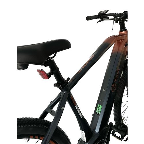 Xplorer E-bike MTB KILIMAJARO 29" R19.5 slika 8