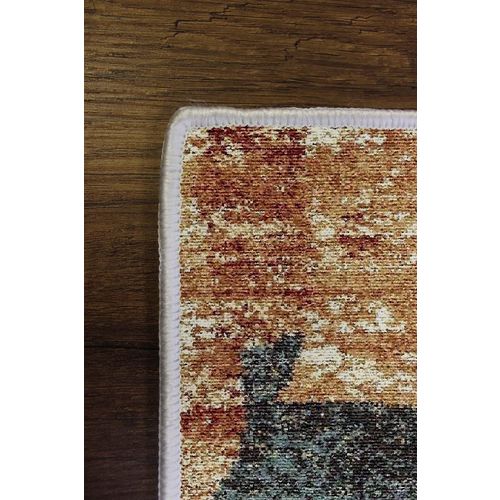 HMNT602 Multicolor Carpet (60 x 100) slika 6