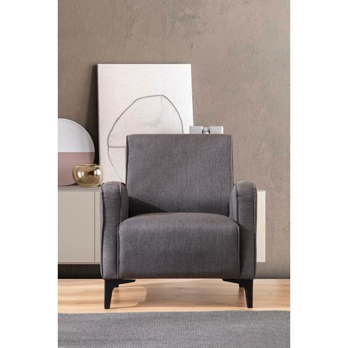 Petra - Anthracite Anthracite Wing Chair slika 1