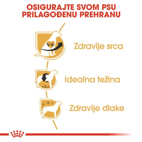 ROYAL CANIN BHN Cavalier King Charles Adult, potpuna hrana specijalno prilagođena potrebama odraslih i starijih kavalira kralja Charlesa, 1,5 kg slika 5