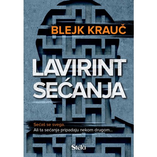 Lavirint sećanja slika 1