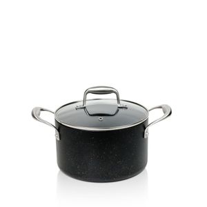 Metalac lonac sa staklenimn poklopcem 20 cm, linija IGNIS