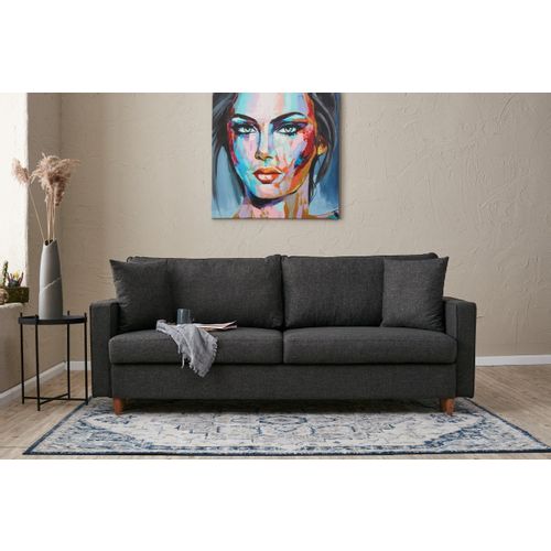 Eva - Anthracite Anthracite 3-Seat Sofa-Bed slika 1