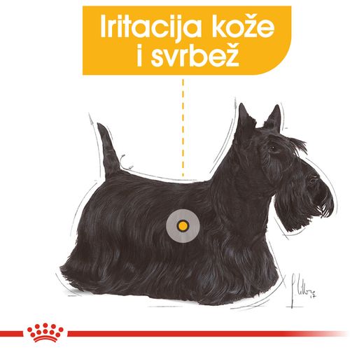 ROYAL CANIN SHN Dermacomfort Mini, potpuna hrana za odrasle pse malih pasmina koji imaju problema sa kožom, stariji od 10 mj., 1 kg slika 7