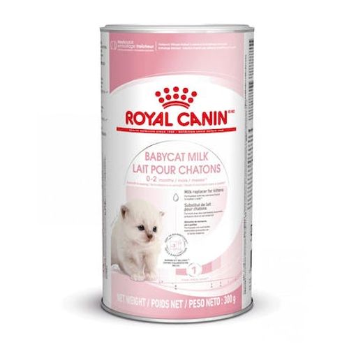 ROYAL CANIN FHN Babycat Milk, potpuna hrana za mačke - Zamjensko mlijeko za mačiće od rođenja do odvikavanja od sisanja (0-2 mjeseca), 300 g slika 1