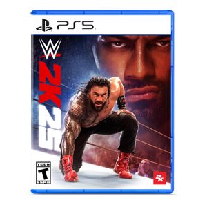 Take Two, WWE 2K25 PS5