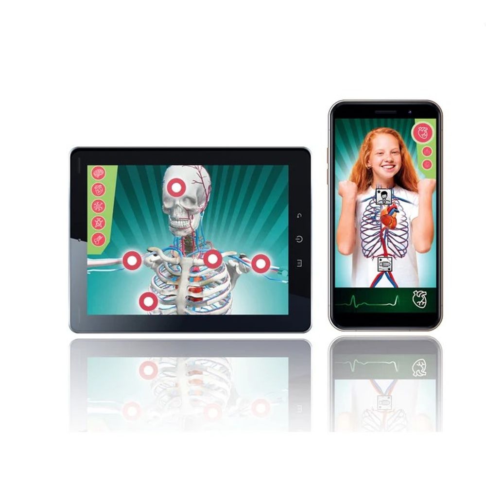 Clementoni CL75104 Science&Play Super Anatomy  slika 4