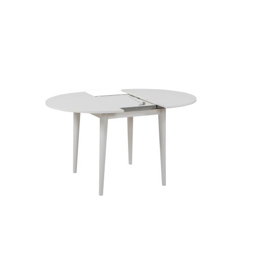 Vina 0701 - White, Grey White
Grey Extendable Dining Table & Chairs Set (3 Pieces) slika 6