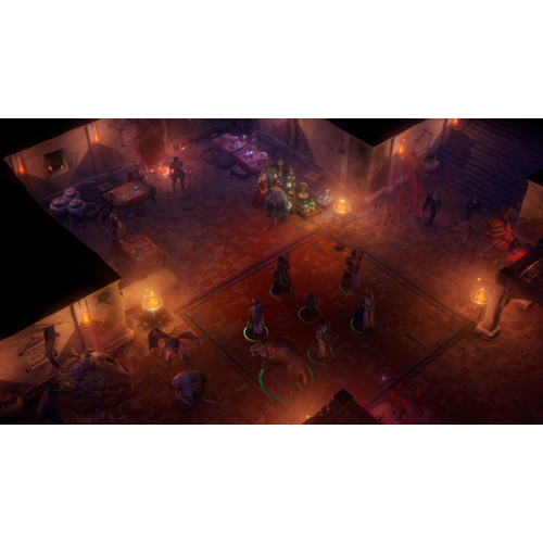 Pathfinder: Wrath of the Righteous (Xbox One) slika 12