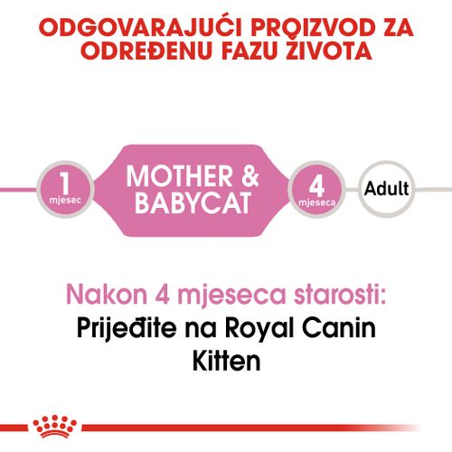 ROYAL CANIN FHN Baby Cat, konzerva za mačiće do 4 mjeseca, potpuna i uravnotežena hrana za mačke, mousse, 12x195 g slika 9