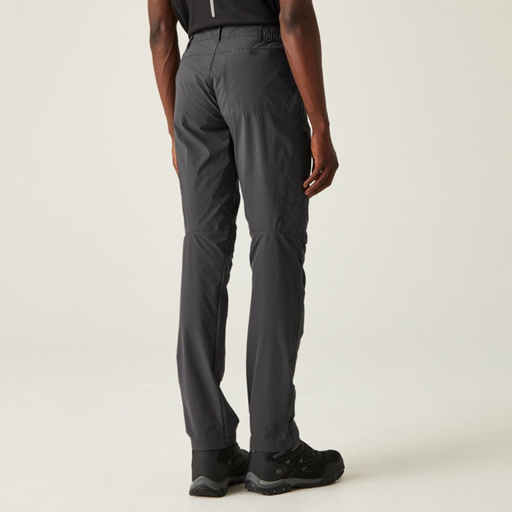 Regatta Muške hlače Highton Trousers Seal Grey slika 2